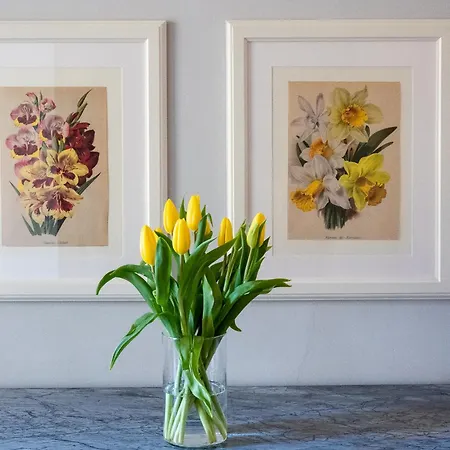 San Marco Firenze Old Town Apartamento